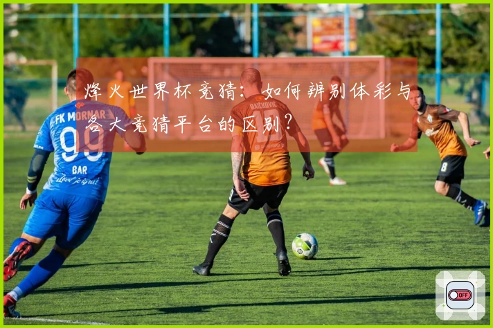 烽火世界杯竞猜：如何辨别体彩与各大竞猜平台的区别？